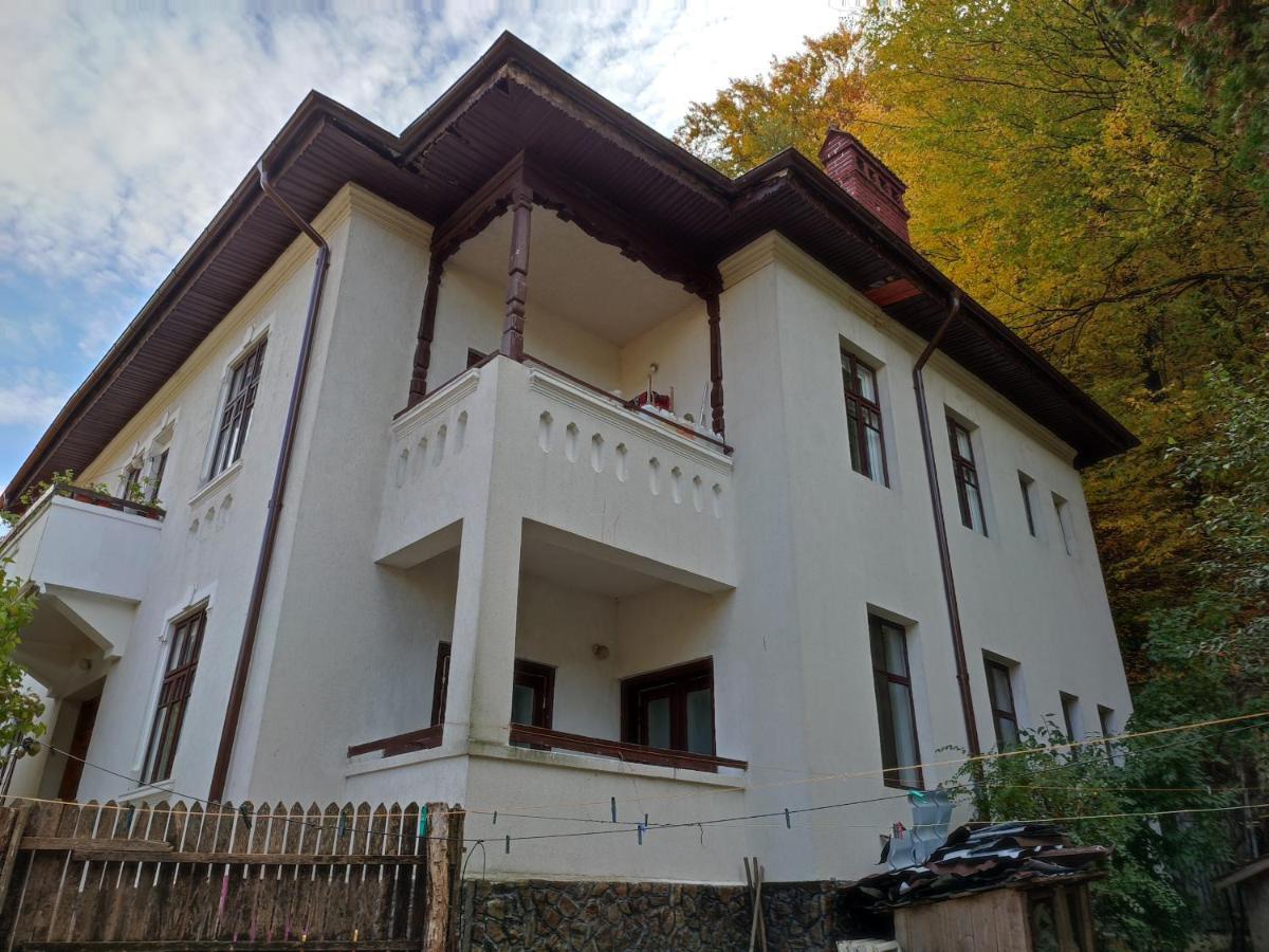 Vila Brazilor Căciulata Dış mekan fotoğraf