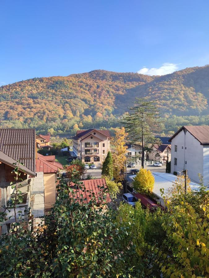 Vila Brazilor Căciulata Dış mekan fotoğraf