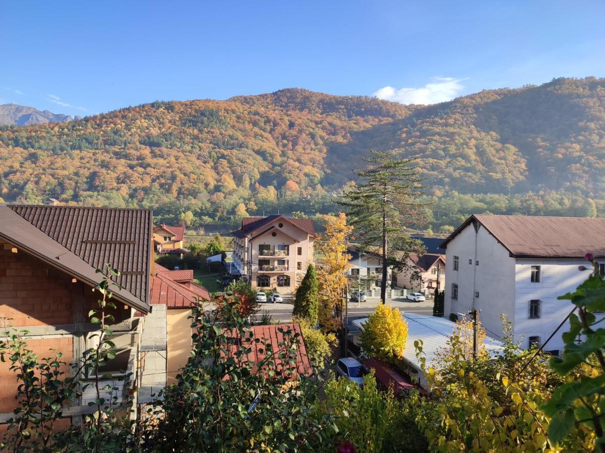 Vila Brazilor Căciulata Dış mekan fotoğraf